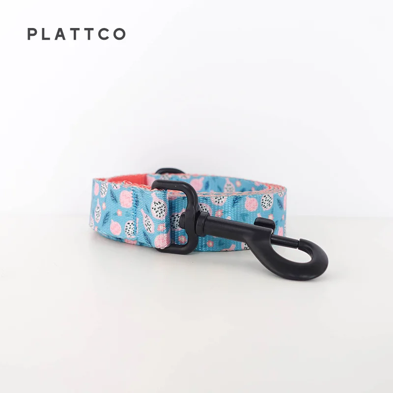 PLATTCO color de PITAYA TEASE desgarrado rápidamente perro pajarita collar correa conjunto teddy bichon pequeño 5 tamaños PDC323 - imagen 4
