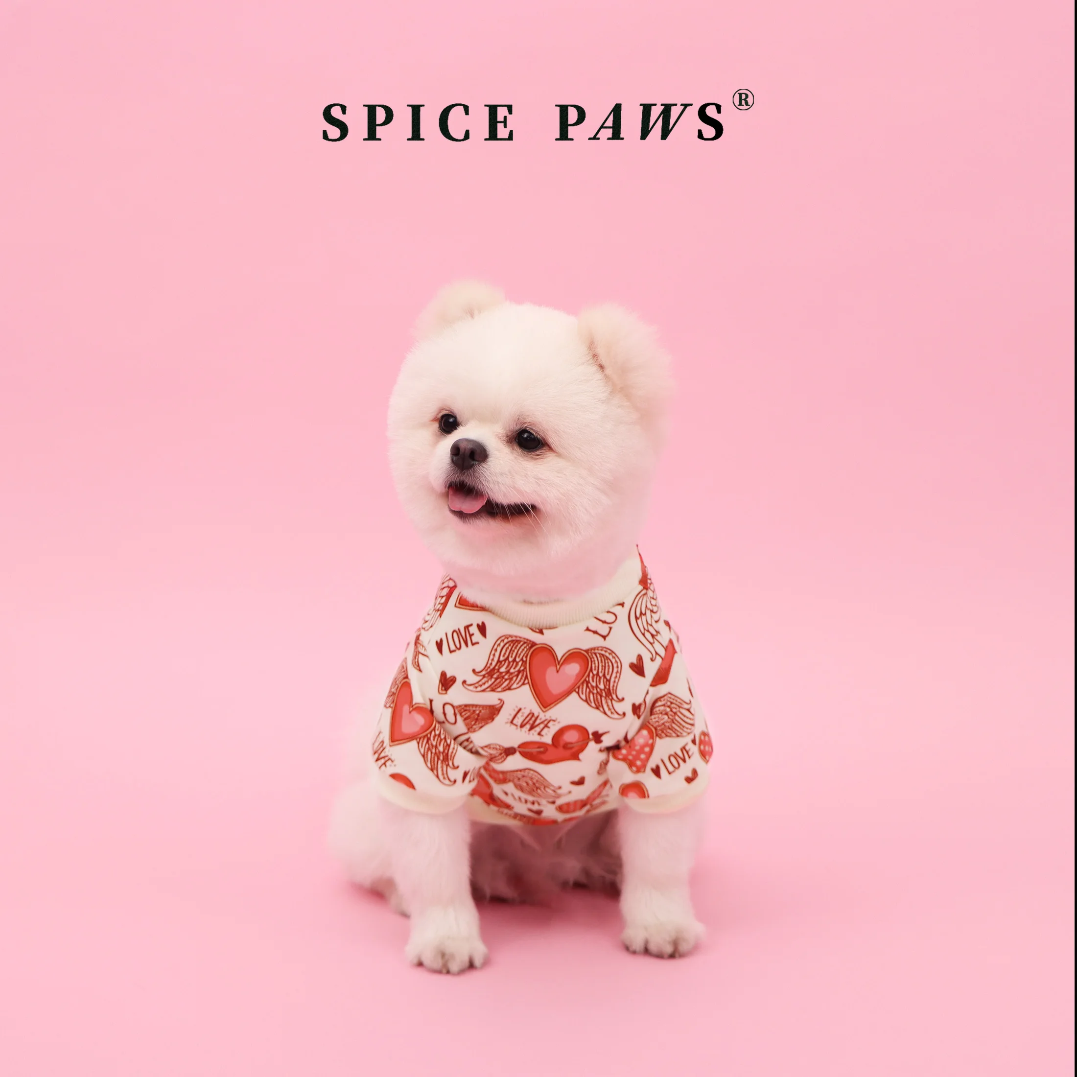 Sudadera con capucha para perros – Diseño corazón alas ángel rojo y crema - imagen 5