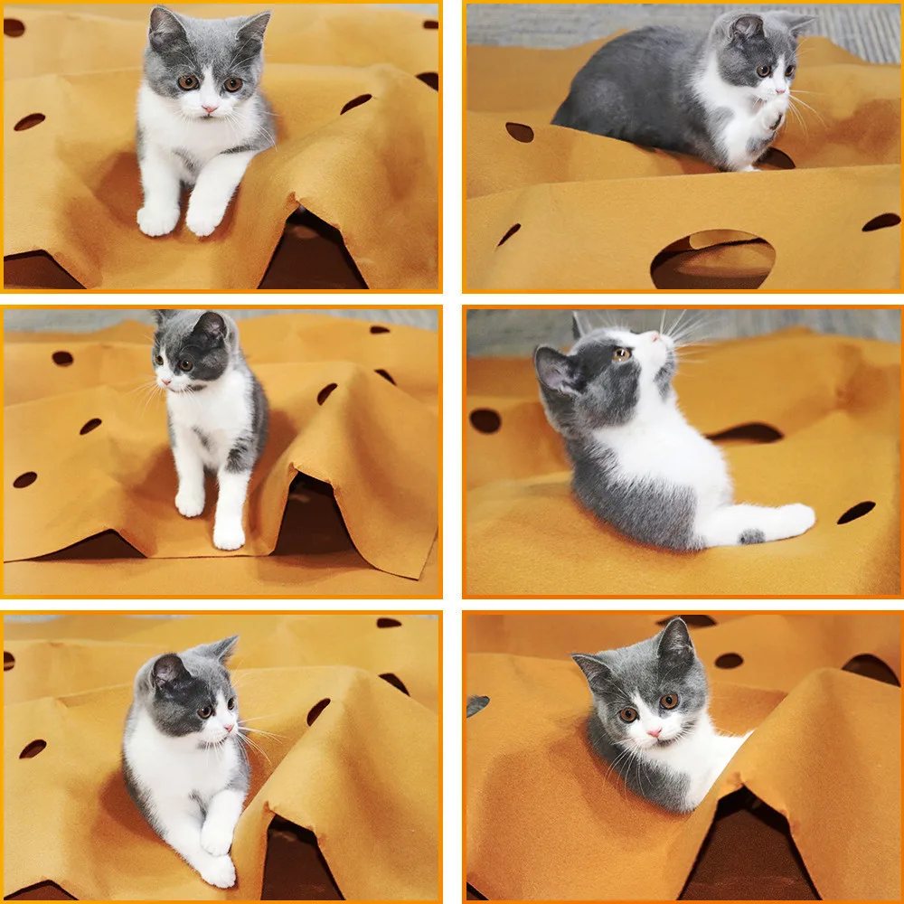 Túnel interactivo para gatos – Alfombra de entrenamiento y agility