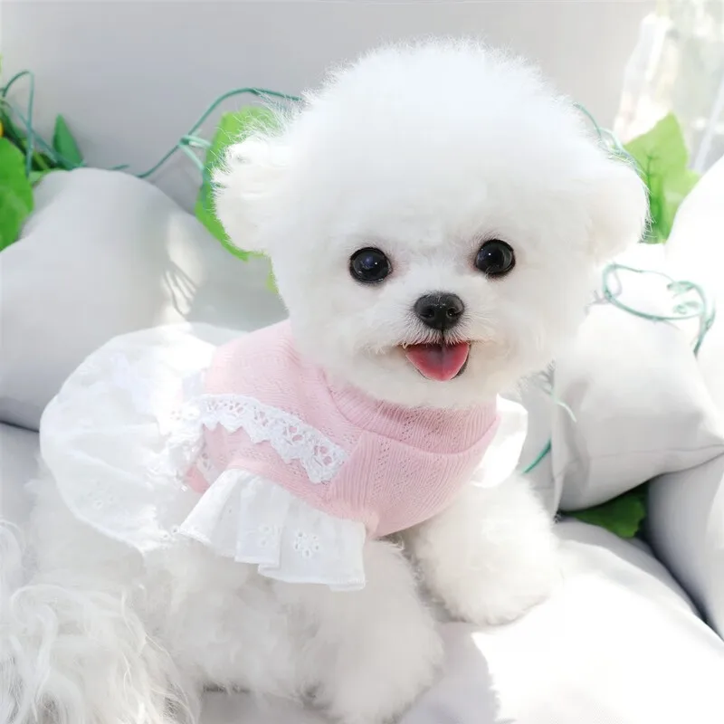 Vestido de primavera/verano para mascotas, chaleco con mangas de encaje, vestido de princesa con oso de peluche para perros pequeños, chaleco para cachorros, ropa para perros pequeños