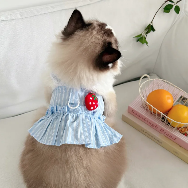 Conjunto vestido lujo perro estampado fresa y arnés chaleco gato - imagen 5