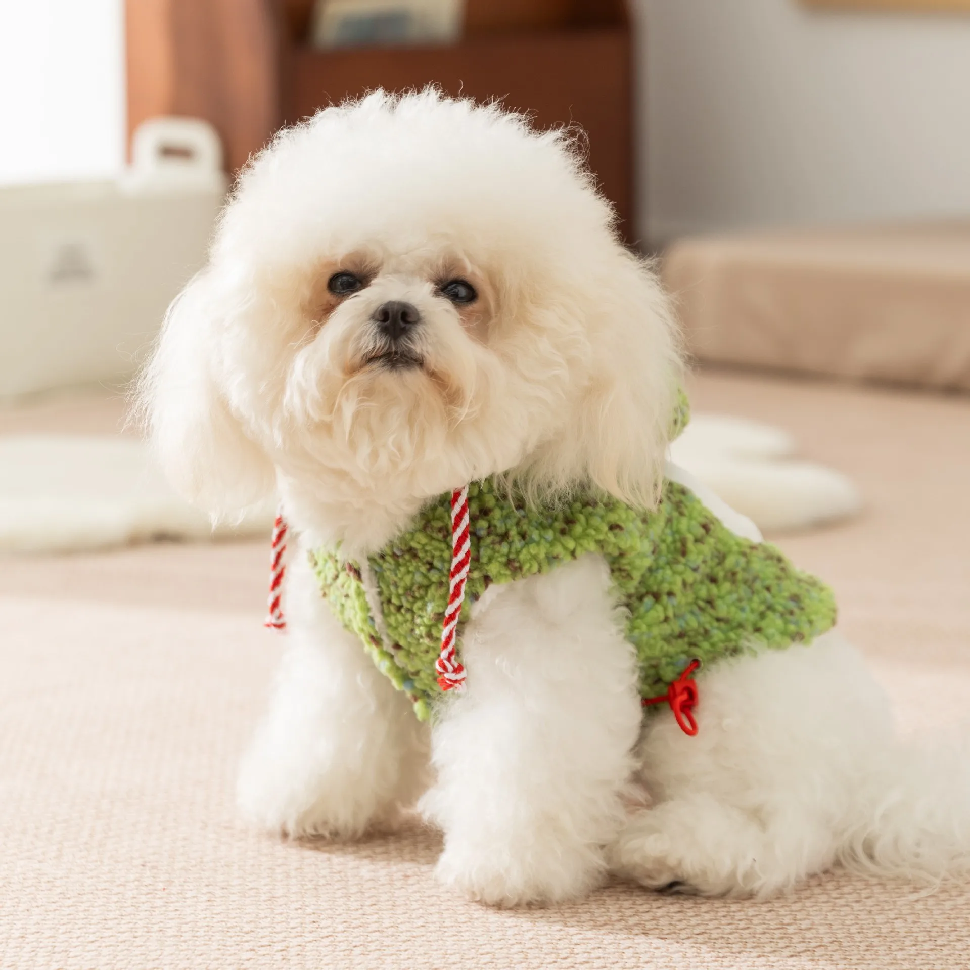 Sudadera con capucha de otoño/invierno para perros, abrigo grueso de terciopelo de dos piernas, bonito abrigo decorativo de Navidad, ropa para cachorros de peluche para perros pequeños - imagen 3