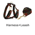 Harness   leash