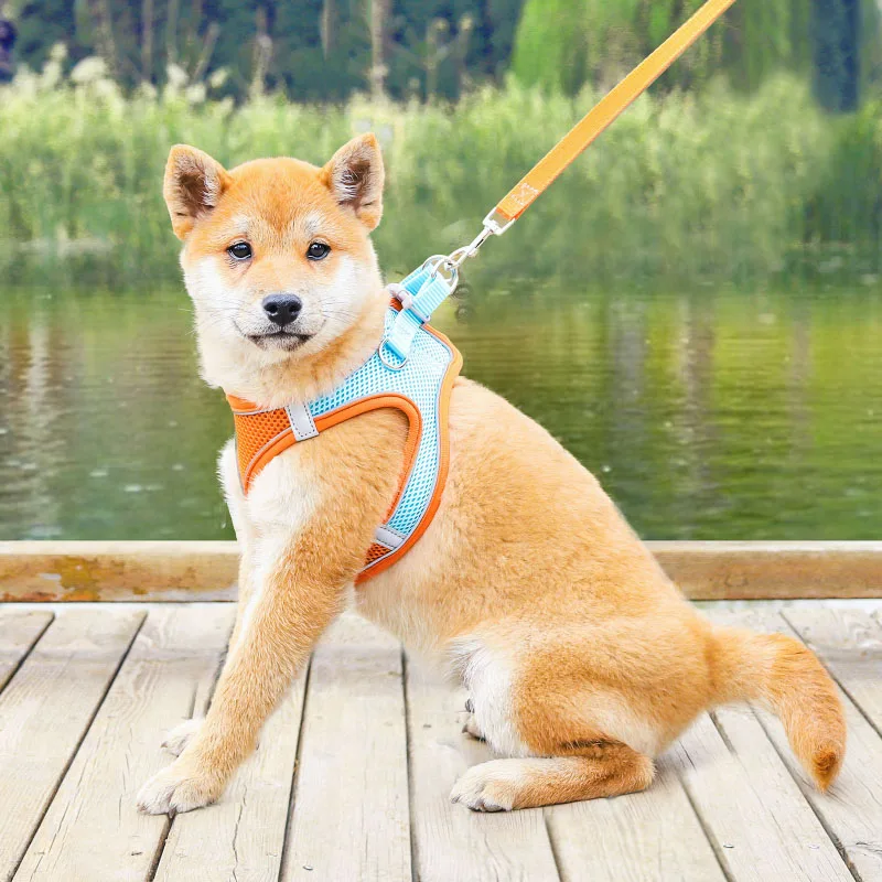 Conjunto de correa de arnés para perros pequeños, arnés ajustable para cachorros y gatos, chaleco, Bulldog Francés, Chihuahua, Pug, conjuntos de Collar para caminar al aire libre - imagen 4