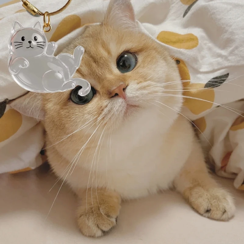 Colgante con pelo de mascota conmemorativo para gatos - bolso - imagen 3