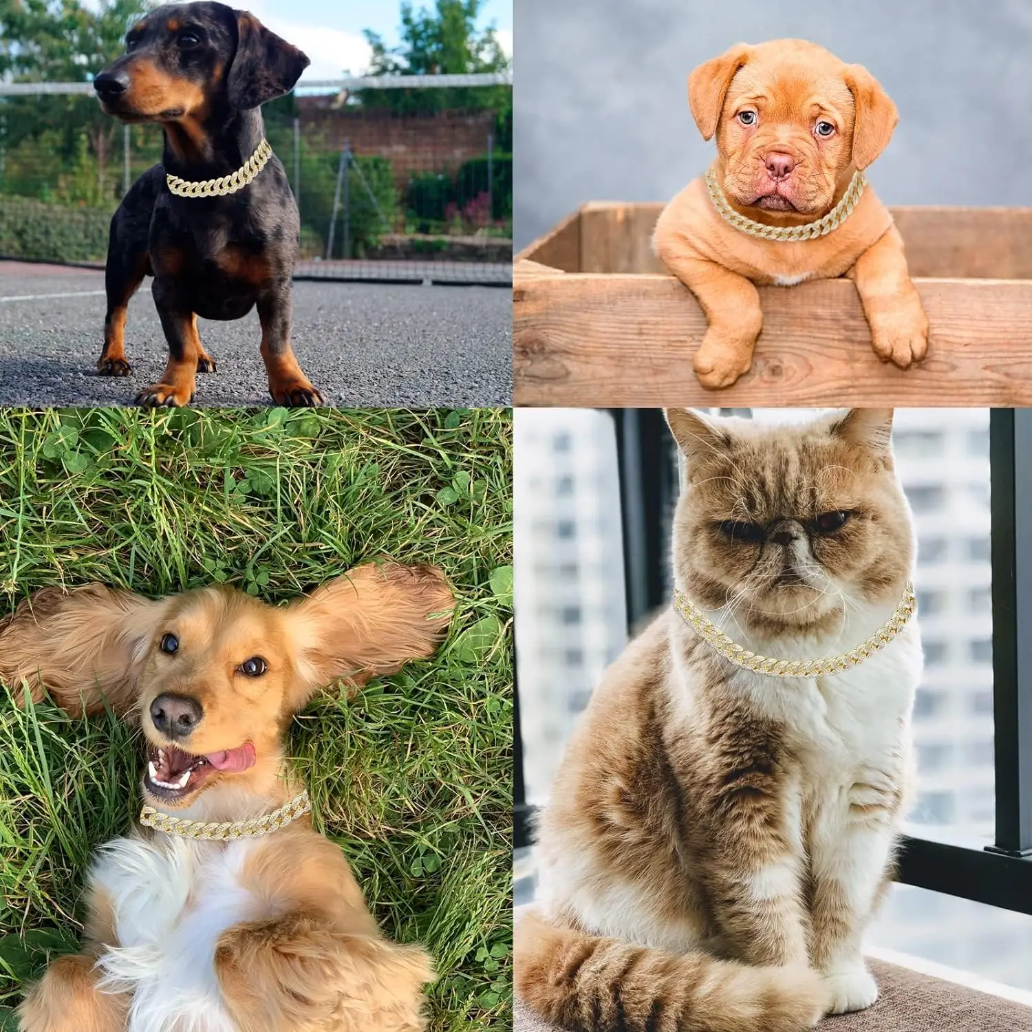 Collar de cadena de perro de oro de 15mm, Collar de cristal de enlace cubano de diamante de lujo, Collar de perro duradero para perros pequeños, medianos y grandes y gatos - imagen 3