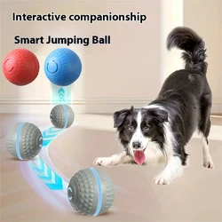 Pelota inteligente para perros: juguete recargable USB que rebota
