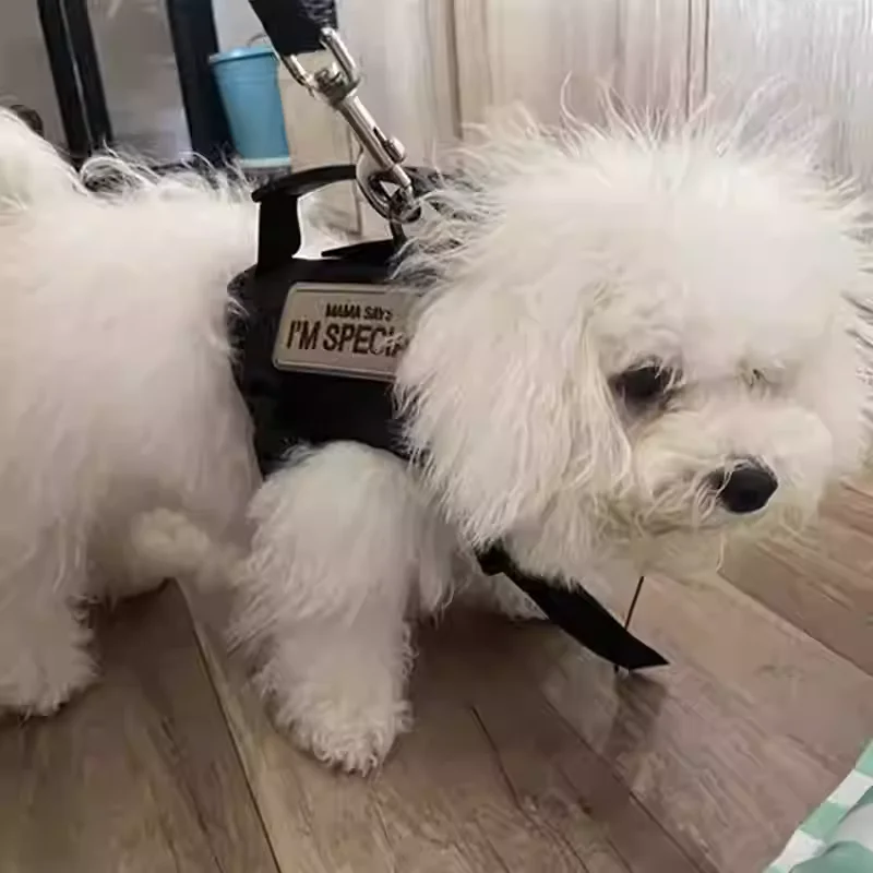 Arnés táctico con asa para gatos y perros pequeños - Paseo y entrenamiento - imagen 2