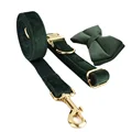 Bow Collar Leash Set