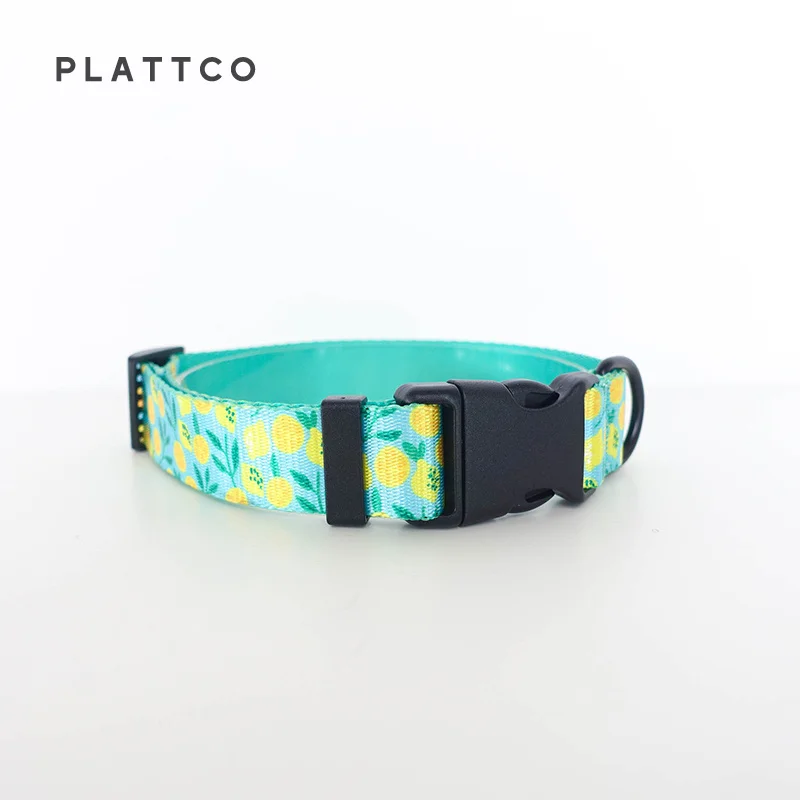 PLATTCO personalizado LEMON TEASE ajustable suave nylon collar de perro juego de correa duradero personalizado para pequeño mediano grande PDC329 - imagen 2