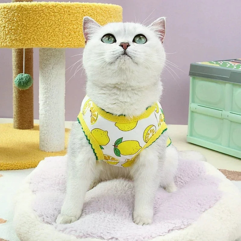 Chaqueta cálida de invierno para perros, abrigo, ropa suave y bonita para perros, chaleco con estampado de frutas para cachorros, chaqueta cárdigan a la moda para gatos, abrigo con capucha para mascotas, disfraz para perros - imagen 3