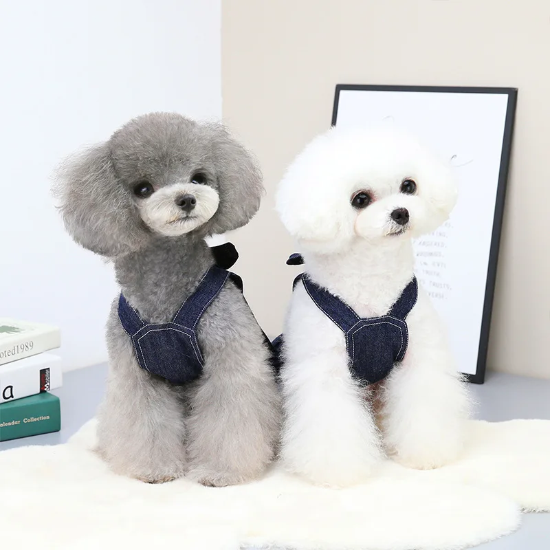 Ropa de perro para perros pequeños, vestido de primavera y verano, Falda vaquera para cachorros con lazo, disfraz bonito de peluche sin correa, 2022 - imagen 4