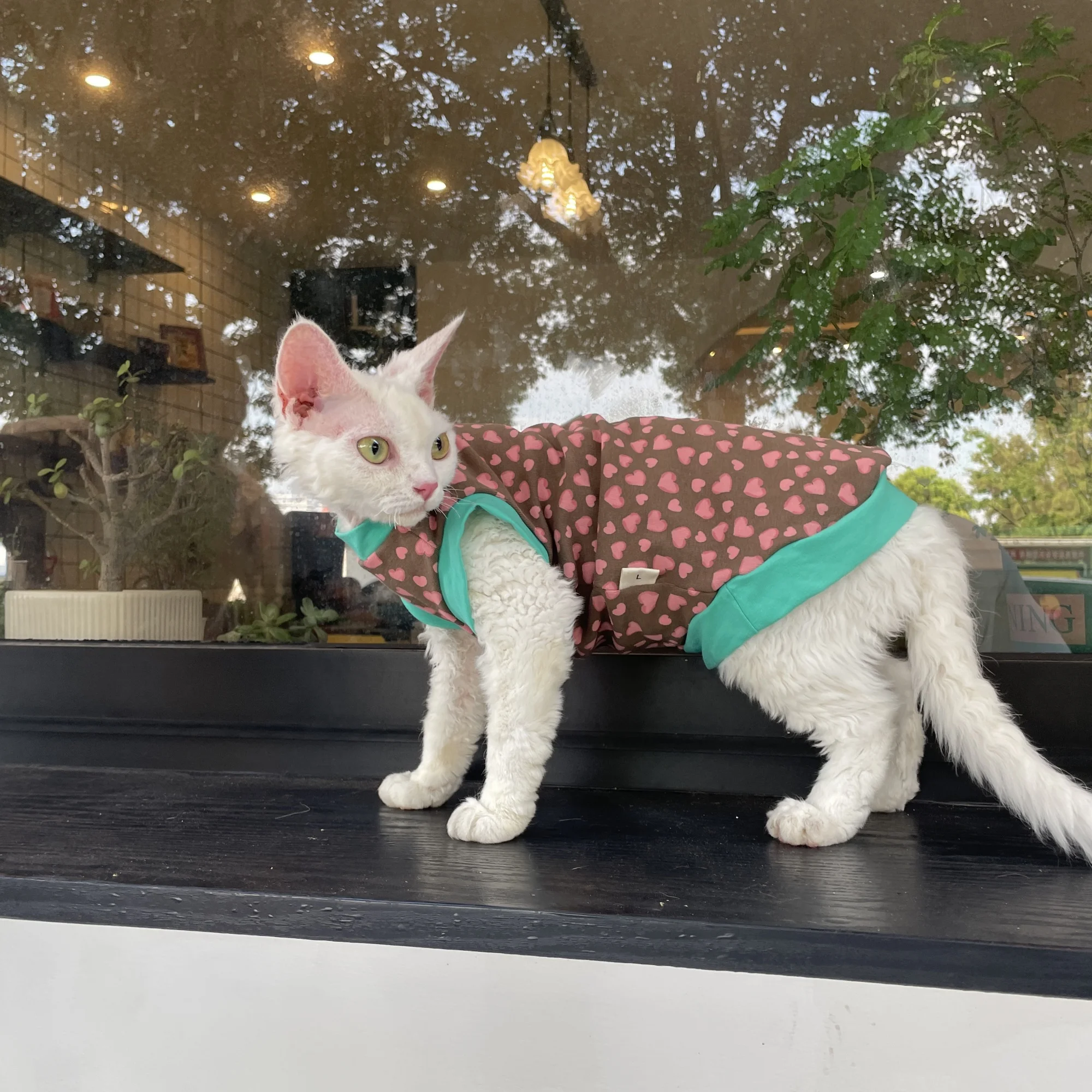Chaleco de algodón ligero de verano para Devon Rax, camiseta con estampado de leopardo rosa suave y agradable para la piel para gato sin pelo, abrigo fino de primavera para mascotas - imagen 3