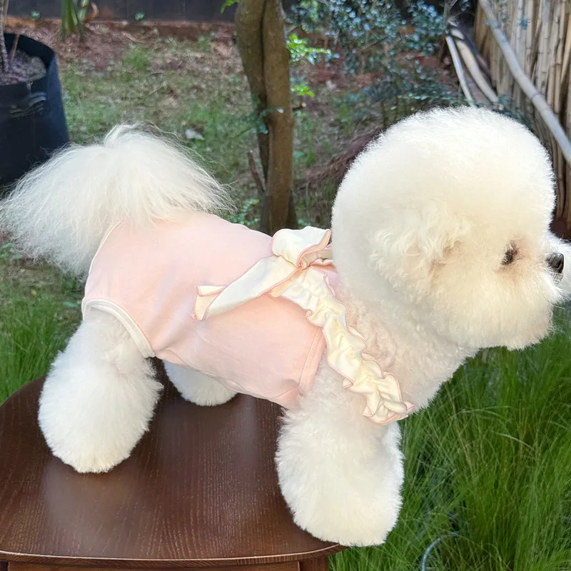 Vestido Halloween para perros pequeños con lazo colorido - imagen 3