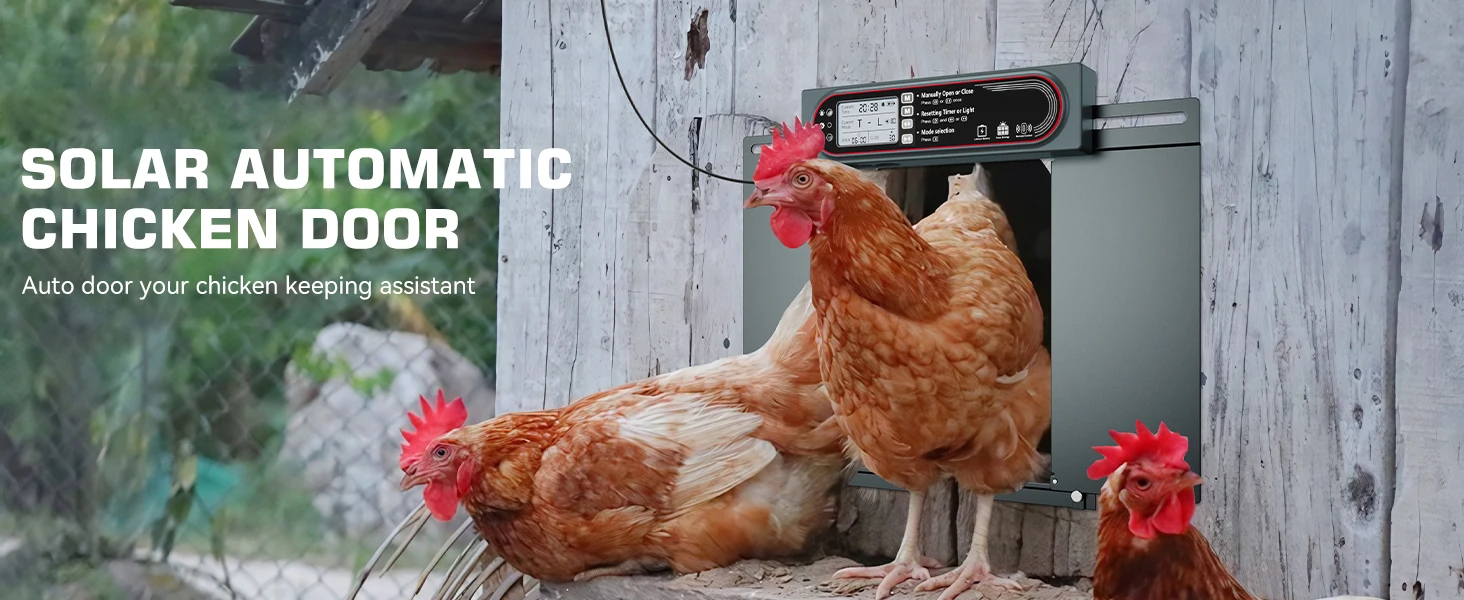 Puerta automática para gallinero con energía solar