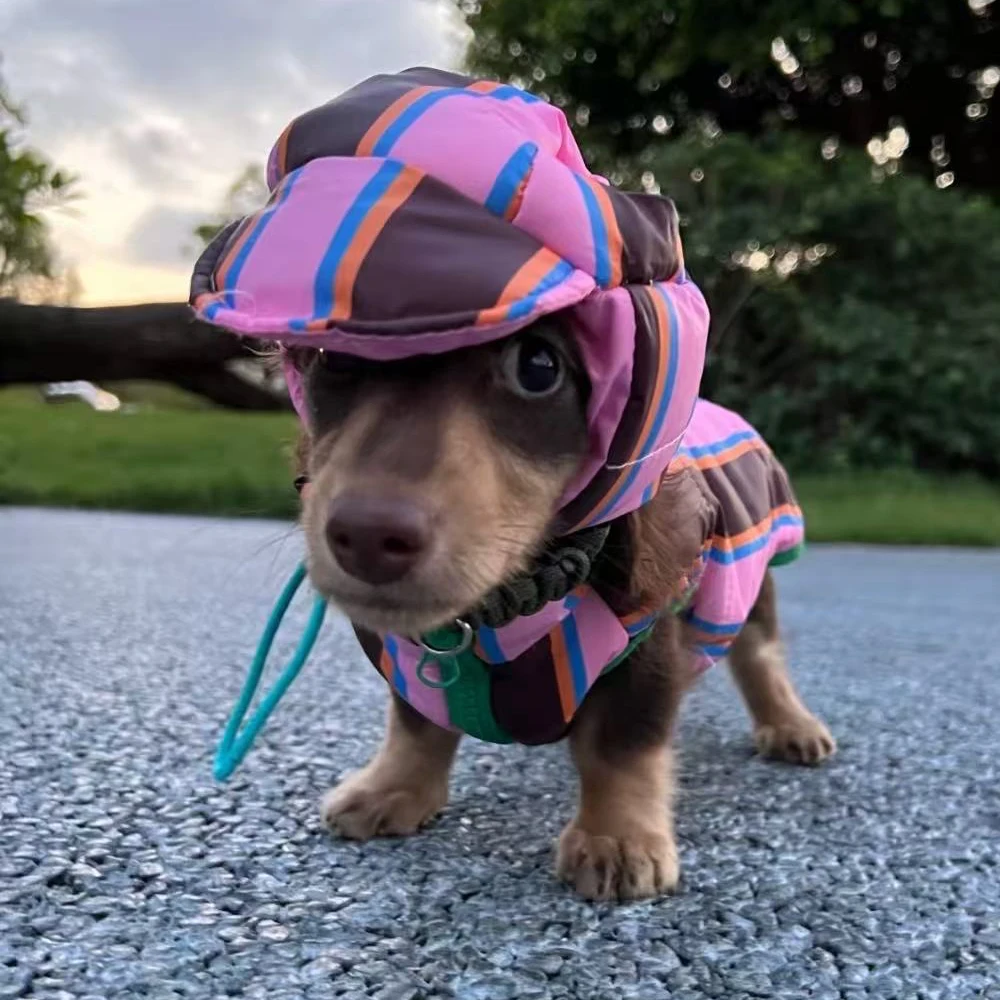 Chaqueta para perros salchicha con sombrero - abrigo calido ligero - imagen 3