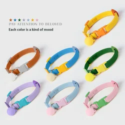 Collar reflectante ajustable para gatos – Cierre separable suave