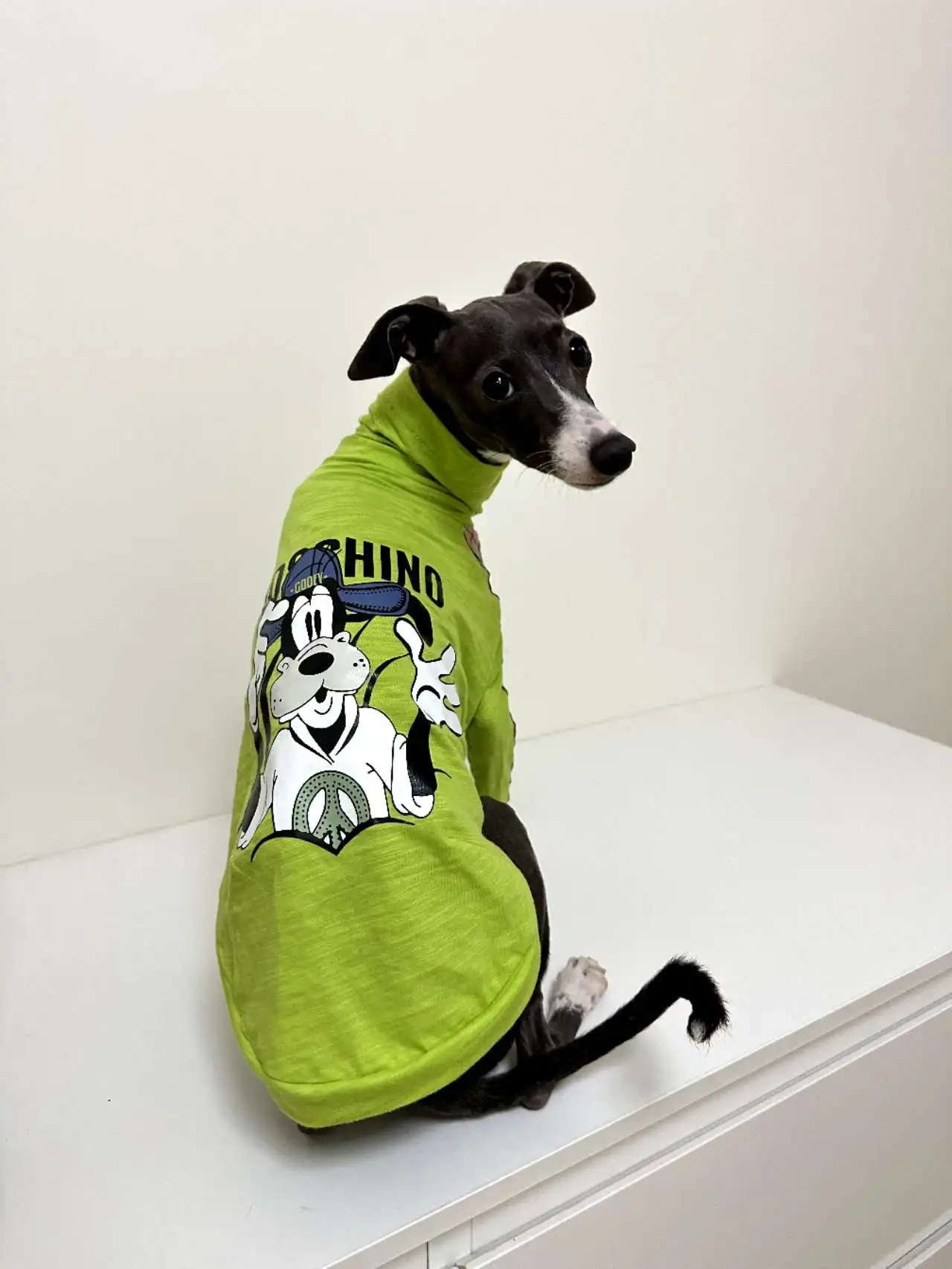 Camiseta de algodón de galgo a la moda, chaleco transpirable de dibujos animados para perros verdes, jersey para mascotas para perros pequeños, medianos y grandes, otoño y primavera - imagen 4