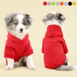 Sudadera con capucha para perro Chihuahua/Yorkshire – Abrigo invierno