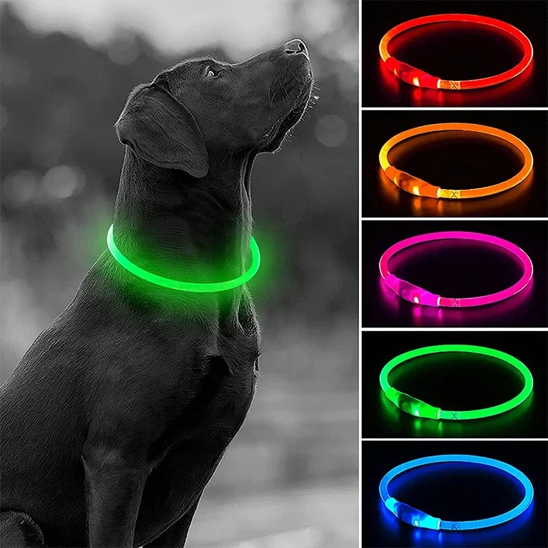Collar LED recargable perros pequeños - vista principal