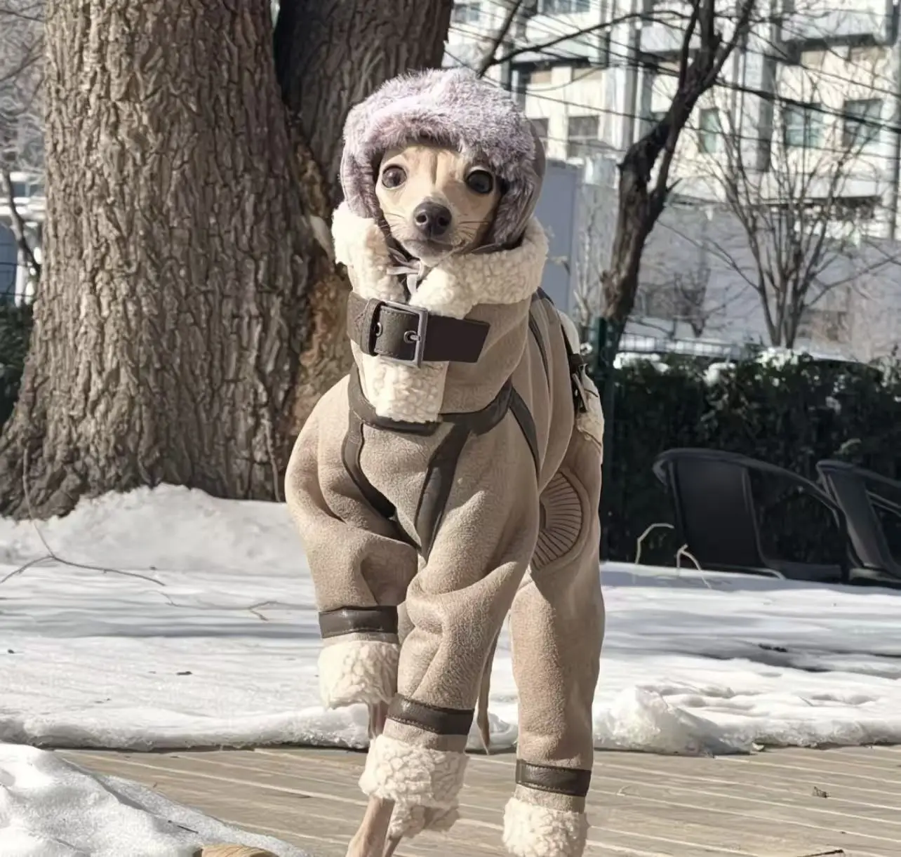 Chaqueta marrón de invierno para perros, elegante abrigo de algodón grueso ajustable para galgo italiano, chaqueta cálida a prueba de viento para Whippet - imagen 5