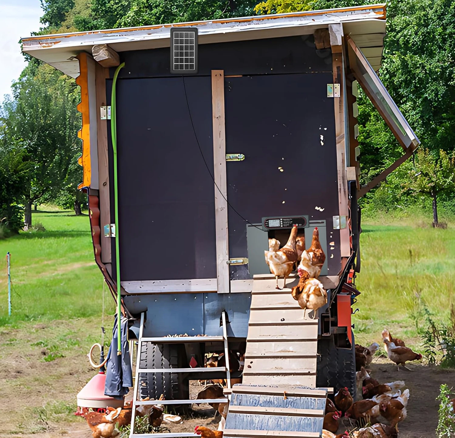 Puerta automatica para gallinero solar antipinzamiento y sensor de luz - imagen 3