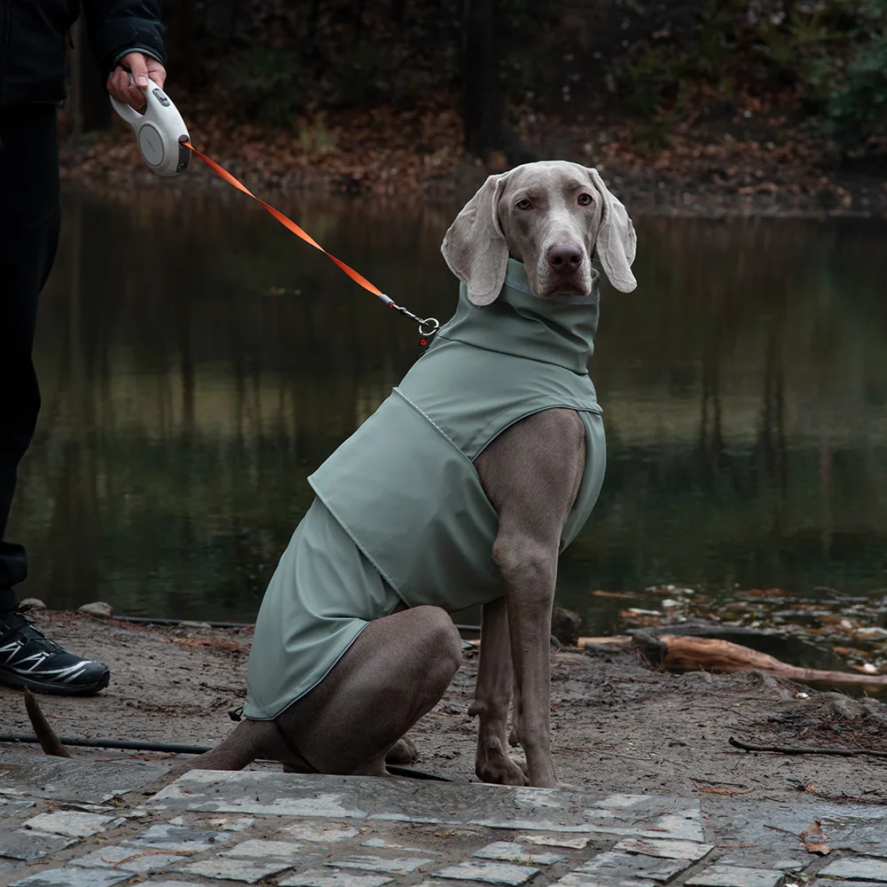 Chubasquero impermeable para perros grandes - chaqueta de lluvia - imagen 4