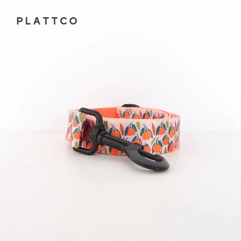 PLATTCO color del conjunto de correa de cuello de pajarita con estampado de mascotas nuevo BANDA NARANJA personalizada para tamaño pequeño mediano grande 5 PDC324 - imagen 5