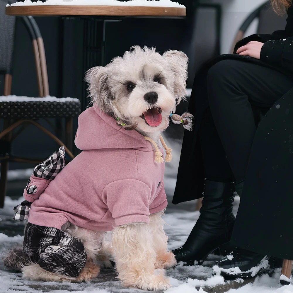 Monos de invierno para mascotas, abrigo grueso y cálido para perros con muñeca para perros pequeños, moda para mascotas, Sudadera con capucha de cuatro patas, trajes para cachorros - imagen 3