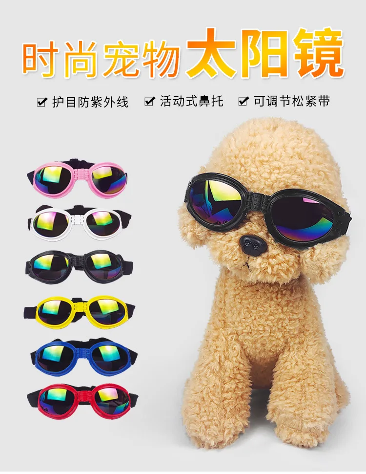 Gafas de sol para perros en color azul