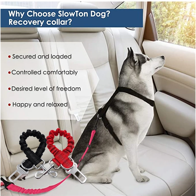 Correa de seguridad de coche para perro, correa elástica retráctil para viaje, suministros de seguridad para vehículos grandes - imagen 4