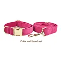 collar and leash set