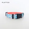 Dog Collar