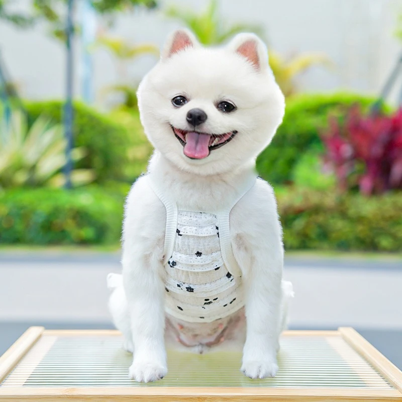 Falda tutú de pastel en capas para perros York, lazo de celosía, decoración para fiesta, boda, cachorro, vestido de verano, monos transpirables para mascotas - imagen 3