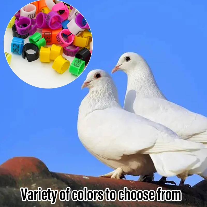 ใหม่100ชิ้นแหวนขาของนกพิราบสายคล้องนกพิราบคลิปหนีบนกแก้วพลาสติกขนาด8มม. อุปกรณ์ฝึกนกพิราบอุปกรณ์ฝึกนก - imagen 4