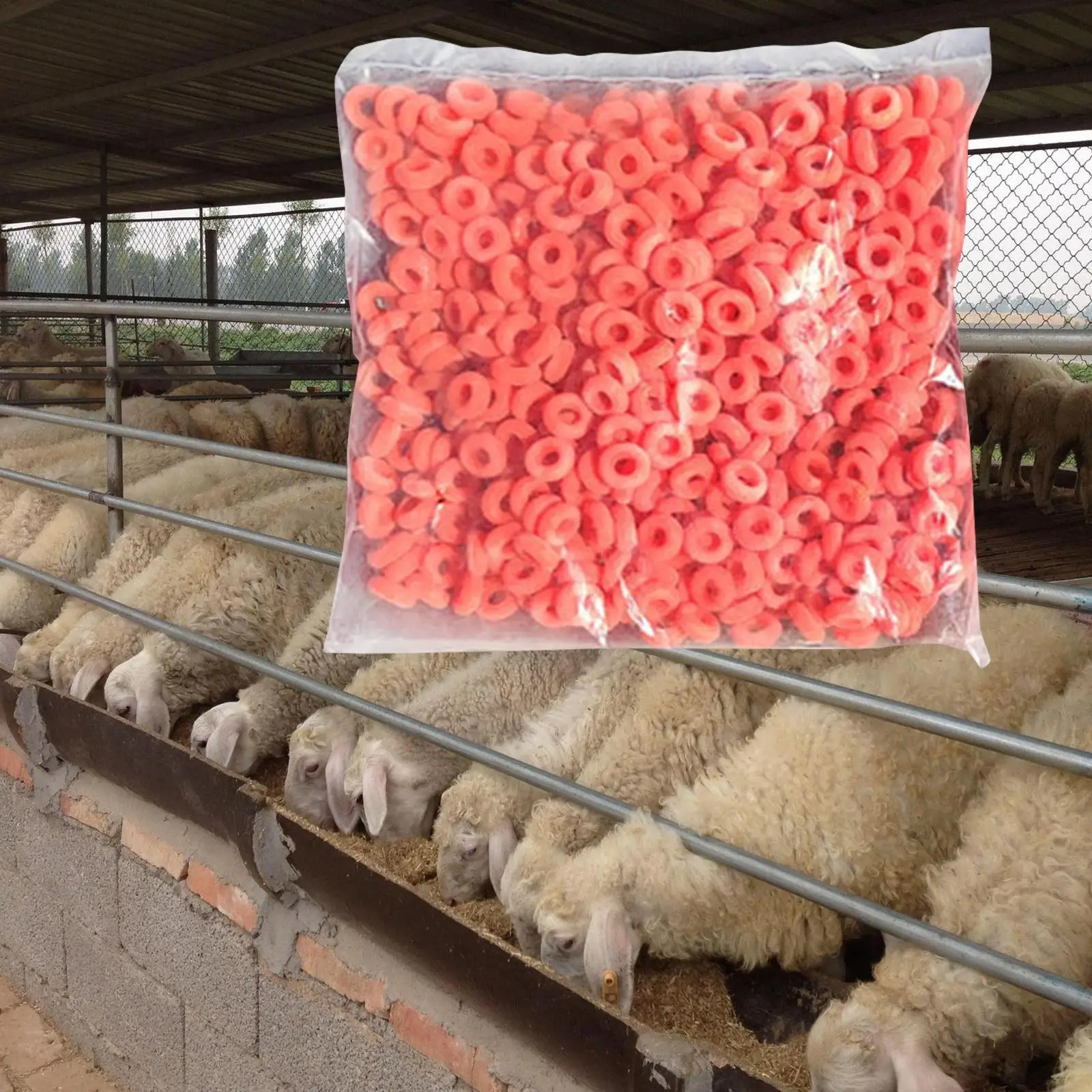 50 Pieces Castration Bands Goat Castration Bander for Lambs Cows Sheep