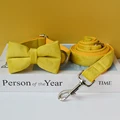 Bow Collar Leash Set