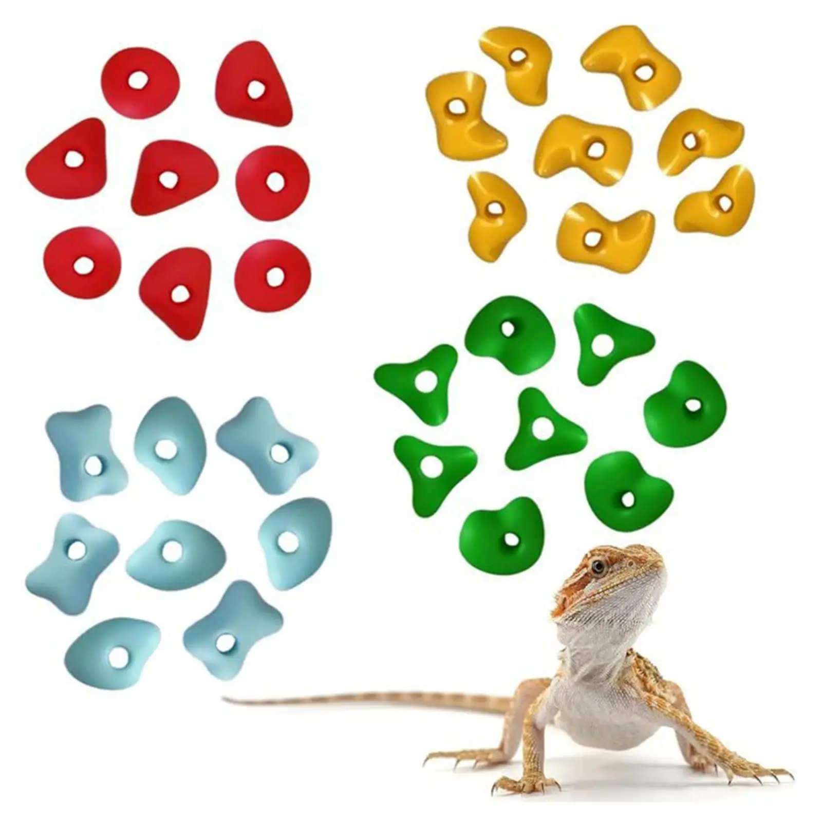 10x Climbing Wall Accessories Colorful for Climbing Training Captive Habitat 10x Climbing Wall Accessories Colorful for Climbing Training Captive Habitat