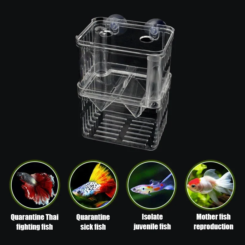 Caja de cría e incubadora para acuario peces Betta bebés y camarones - imagen 3