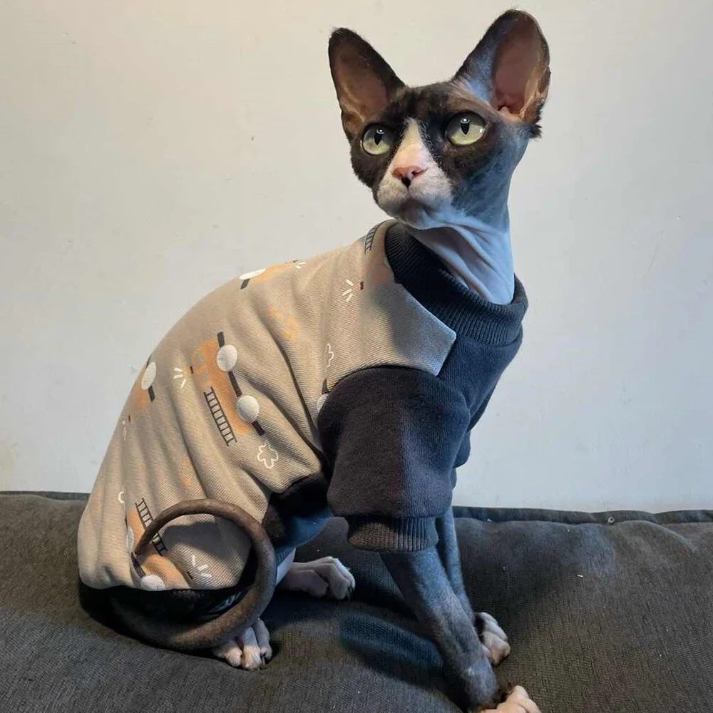 Sphynx Cat Cotton Cartoon Dinosaur Sudadera Camiseta de manga larga para gato sin pelo Abrigo de primavera rojo Ropa de estar por casa gris para gatitos - imagen 5