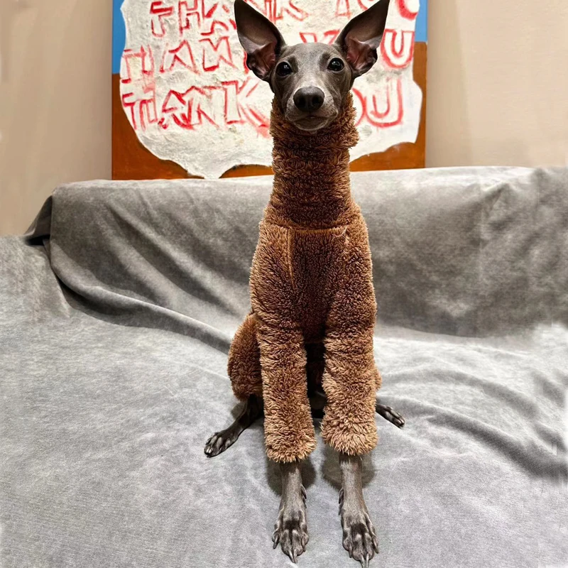 Monos de invierno para perros, ropa suave para cachorros, cuello alto, ropa cálida para galgo italiano, Whippet/mexicano sin pelo/Maltese - imagen 3