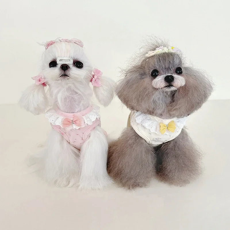 Lindo encaje Otoño/Invierno mono para mascotas ropa para perros Floral y terciopelo elástico ropa de dormir de casa pijamas de tela para cachorros disfraz para perros - imagen 2