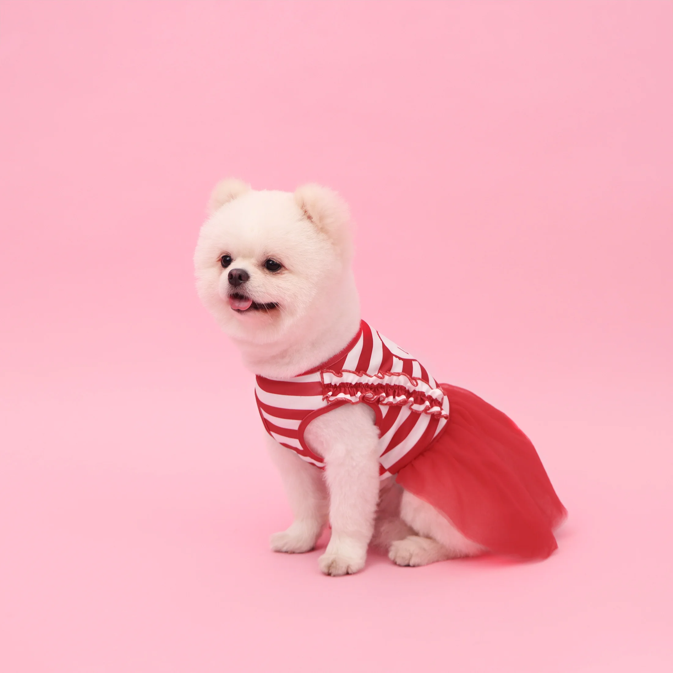 Vestido tutú para perros y gatos pequeños – Diseño San Valentín - imagen 4