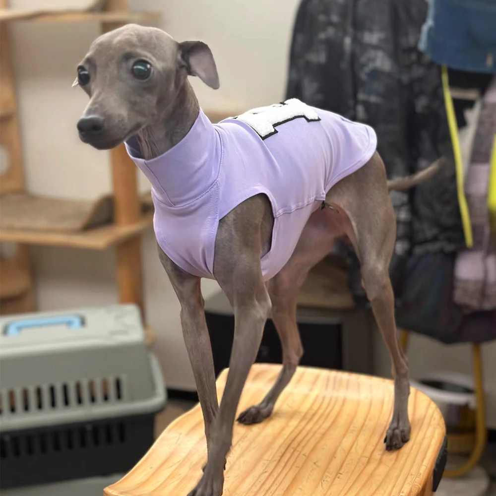 Camisa de algodón a rayas para Whippet y Galgo Italiano – Chaleco