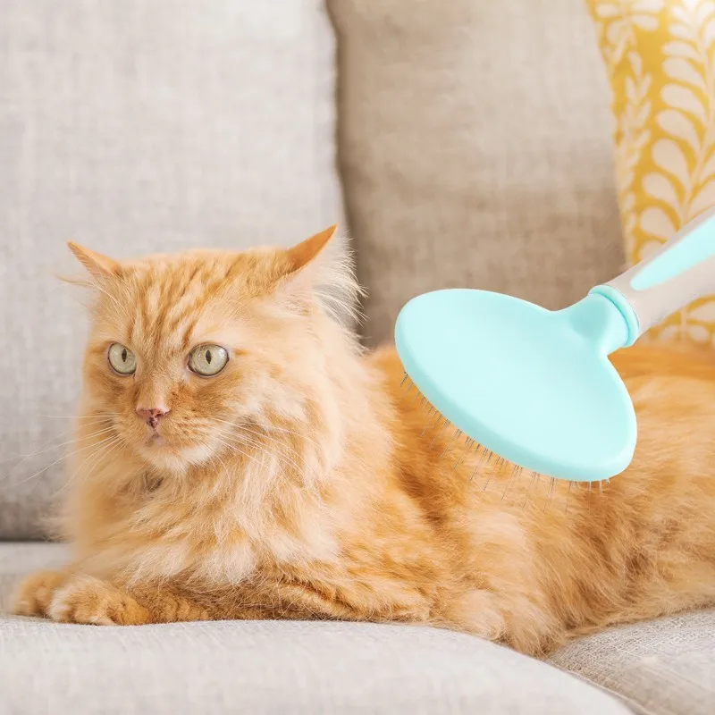 Cepillo para perros, peines de acero inoxidable para el cuidado de perros, removedor de pelo para mascotas con apertura de nudos, cepillo de masaje para gatos, peine para perros, producto para mascotas - imagen 3