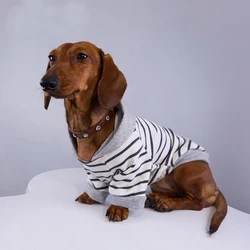 Sudadera a rayas para perros Wiener, chaqueta con capucha de invierno para perros Dogshund, abrigo de moda para primavera y otoño para perros pequeños y medianos de tejón