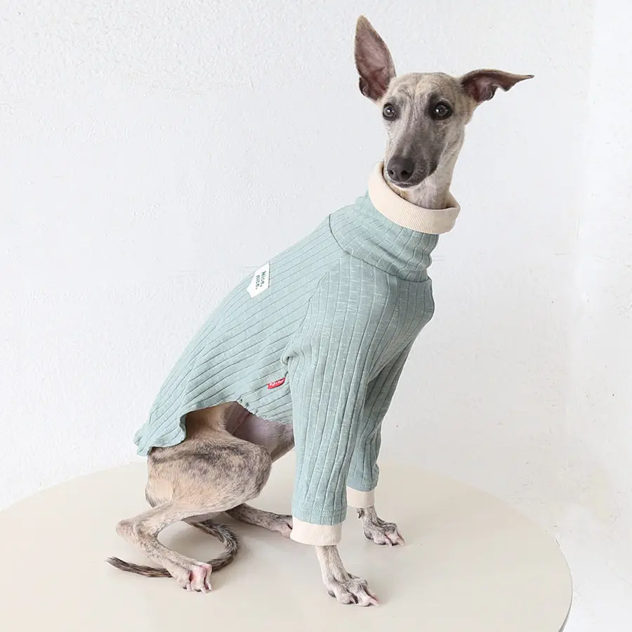 Ropa para perros verde: camiseta cuello alto primavera-verano