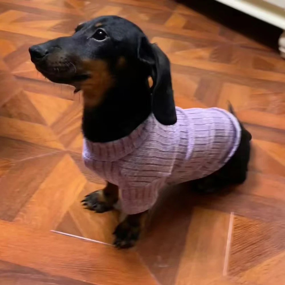 Ropa de pijama cálido para perros dachshund pequeños – púrpura - imagen 3
