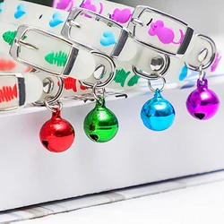 Collar fluorescente LED antipérdida para gato y perro mini