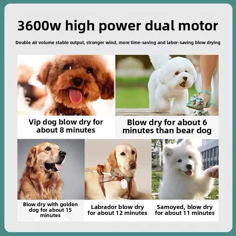 Soplador de agua de 2000W con doble motor para mascotas, secador de pelo grande para perros y gatos, secador de limpieza profesional para mascotas, suministros de máquina, accesorios - imagen 5